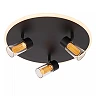 EVERINA Flush ceiling light Ø40 cm 3x5W LED CCT 2200K/6500K Black (Lucide)