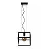FABIAN Pendant light 1x40W E27 Black (Lucide)