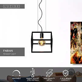 FABIAN Pendant light 1x40W E27 Black (Lucide)