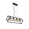 FABIAN Pendant light 4x40W E27 Black (Lucide)