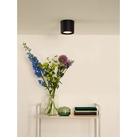 FEDLER griestu prožektors Ø12 1 x 12 W GU10 ES111 dim-to-warm melns (Lucide)