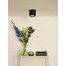 FEDLER ceiling spotlight Ø12 1 x 12 W GU10 ES111 dim-to-warm black (Lucide)