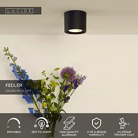 FEDLER griestu prožektors Ø12 1 x 12 W GU10 ES111 dim-to-warm melns (Lucide)