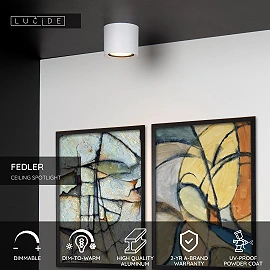 FEDLER griestu prožektors Ø12 cm 1 x 12 W GU10 ES111 dim-to-warm balts (Lucide)