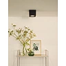 FEDLER ceiling spotlight 12 x 12 cm 1 x 12 W GU10 ES111 dim-to-warm black (Lucide)