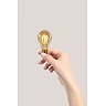 A60 filament LED bulb E27 1 × 4.9 W 420 lm 2200 K dimmable amber (Lucide)