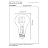 A60 Class A filament LED bulb E27 1 × 7 W 1480 lm 2700 K non-dimmable transparent (Lucide)