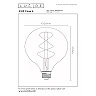 G125 Class A filament LED bulb E27 1 × 7 W 1480 lm 2700 K non-dimmable transparent (Lucide)