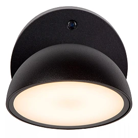 FINN LED outdoor wall light with dusk sensor 1 x 12 W 3000K black (Lucide)