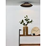 FOSKAL Flush ceiling light Ø34.5 cm LED 1x12W 2700K Black (Lucide)