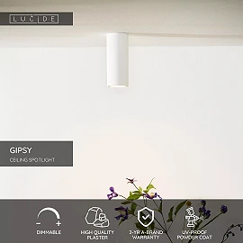 GIPSY Ceiling spotlight Ø7 cm 1x35W White (Lucide)