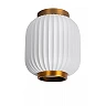 GOSSE flush ceiling light 1x40 W E27 Ø19.5 cm white (Lucide)