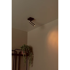 GRADO ceiling spotlight 1xGU10 (MR11) grey iron (Lucide)