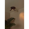 GRADO ceiling spotlight 3xGU10 (MR11) grey iron (Lucide)