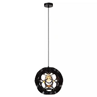 HANNELORE pendant light Ø 30 cm 1xE27 black (Lucide)