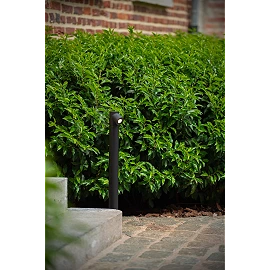 IBAMBA bollard light LED 1x6W 3000K black (Lucide)
