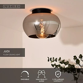 JUDI griestu lampa 1 x 40 W E27 dūmu pelēka (Lucide)