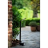 LAWFORD outdoor bollard light 60 cm LED 6W 3000K IP54 black (Lucide)