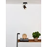 LENNERT ceiling spotlight GU10 LED 1x5W 3000K black (Lucide)