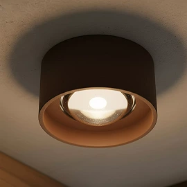 LENZ outdoor ceiling spotlight LED 1x8W 2700K rust brown (Lucide)