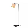 LESLEY Floor lamp 43x20 cm E27 black (Lucide)