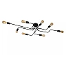 LESTER Flush ceiling light 8xE27 40W Black (Lucide)