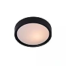 LEX Flush ceiling light Ø25cm 1x9W E27 black (Lucide)