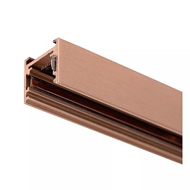 LINIAL 48V track rail 1 m champagne (Lucide)