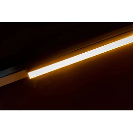 LINIAL track spotlight LED 12 W champagne (Lucide)