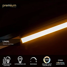 LINIAL track spotlight LED 12 W champagne (Lucide)