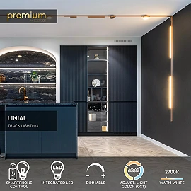 LINIAL track spotlight LED 24 W champagne (Lucide)