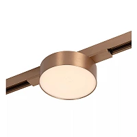LINIAL FIXXT track spotlight LED 8 W champagne (Lucide)