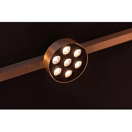 LINIAL XAVI track spotlight LED 8 W champagne (Lucide)
