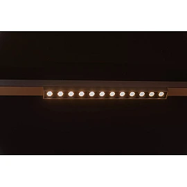 LINIAL XENIA track spotlight LED 10 W champagne (Lucide)