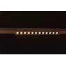 LINIAL XENIA track spotlight LED 10 W champagne (Lucide)