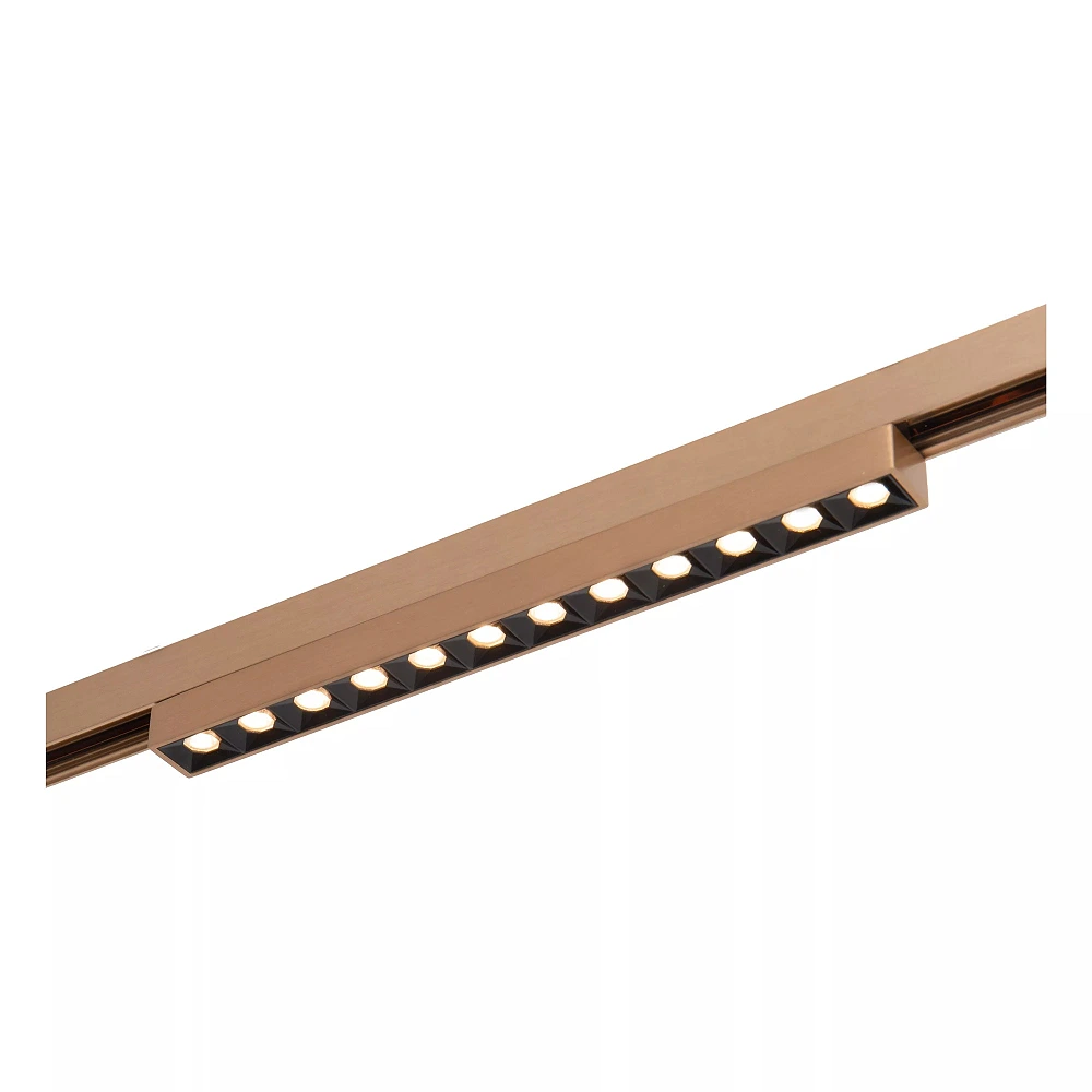 LINIAL XENIA track spotlight LED 10 W champagne (Lucide)