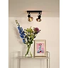 MADEE ceiling spotlight 2 x E14 black smoke grey (Lucide)
