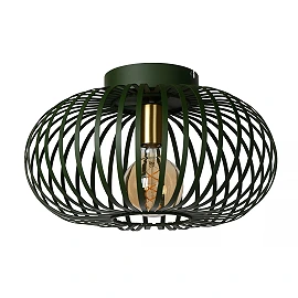 Griestu lampa MANUELA Ø39.5 1xE27 60W zaļa (Lucide)
