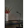 MILNE floor reading lamp LED 1x8 W 2700 K black (Lucide)