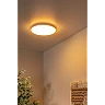 OLSON bathroom flush ceiling light Ø29 cm LED CCT 24W opal (Lucide)