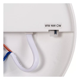 OLSON bathroom flush ceiling light Ø29 cm LED CCT 24W opal (Lucide)