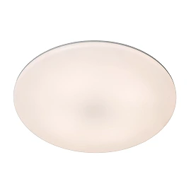 OLSON bathroom flush ceiling light Ø29 cm LED CCT 24W opal (Lucide)