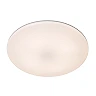 OLSON bathroom flush ceiling light Ø29 cm LED CCT 24W opal (Lucide)
