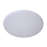 OLSON bathroom flush ceiling light Ø29 cm LED CCT 24W opal (Lucide)