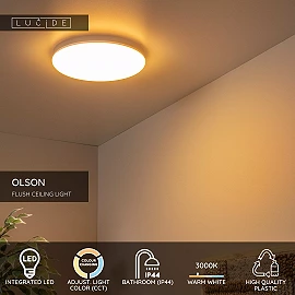 OLSON bathroom flush ceiling light Ø29 cm LED CCT 24W opal (Lucide)