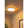 OLSON bathroom flush ceiling light Ø35 cm LED CCT 36W opal (Lucide)