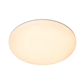 OLSON bathroom flush ceiling light Ø35 cm LED CCT 36W opal (Lucide)