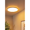 OLSON bathroom flush ceiling light Ø45 cm LED CCT 45W opal (Lucide)