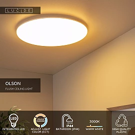 OLSON bathroom flush ceiling light Ø45 cm LED CCT 45W opal (Lucide)