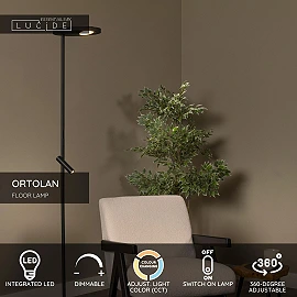 ORTOLAN floor lamp LED 12W+3W CCT Black (Lucide)